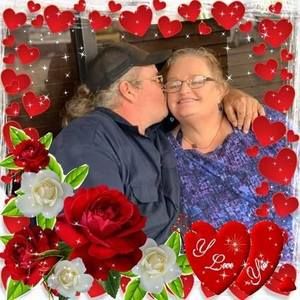 Meet your Posher, Robin bird